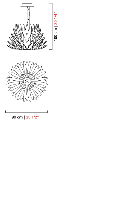 Agave