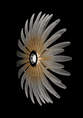 Agave